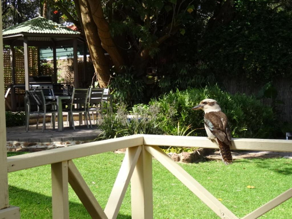 Edge Of The Forest Motel Margaret River Екстер'єр фото