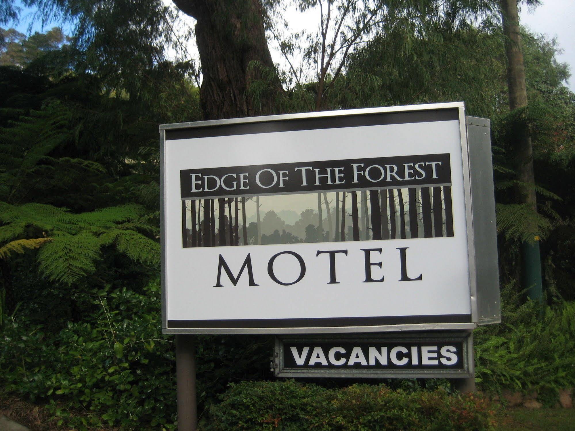 Edge Of The Forest Motel Margaret River Екстер'єр фото