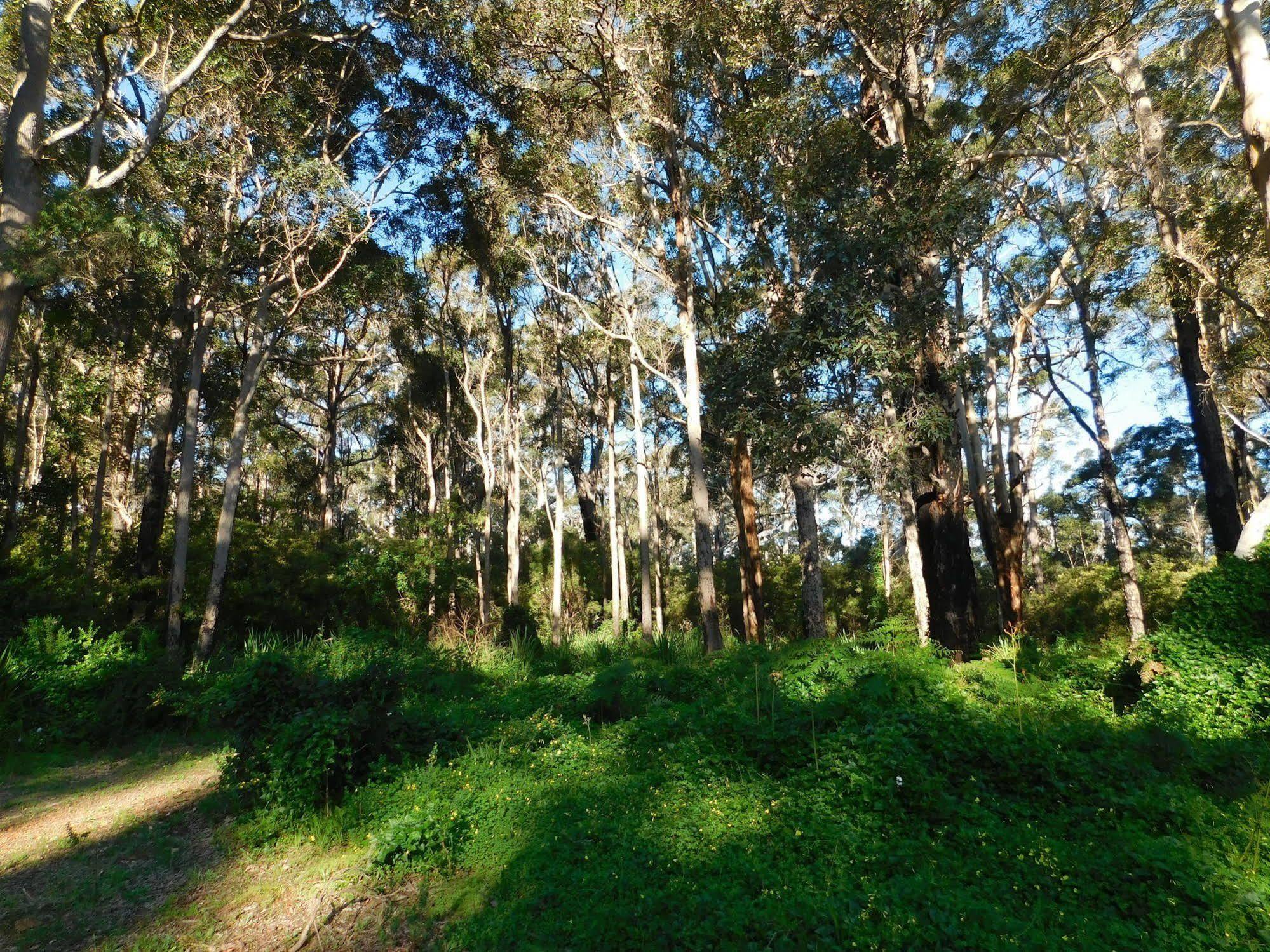 Edge Of The Forest Motel Margaret River Екстер'єр фото